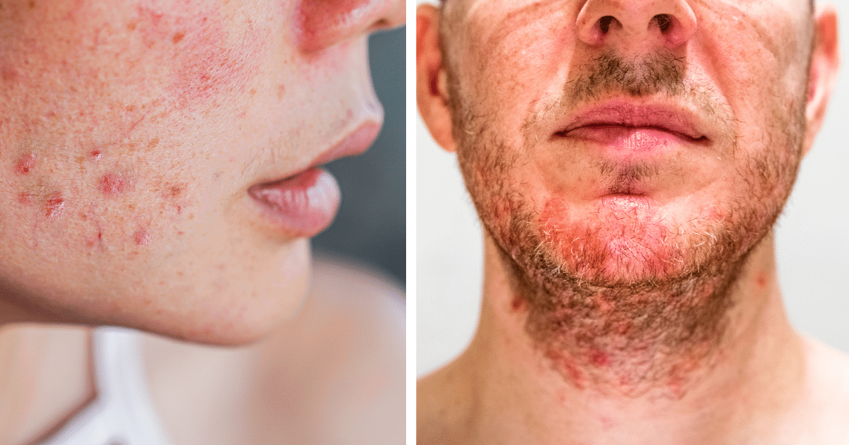 While My Family Fought Over Grandma’s Will, I Was the Only One Who Took Her Beloved Dog and Discovered the Secret She Left Behind — Story of the Day